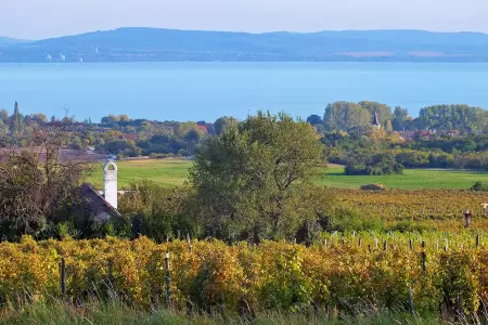 Eladó ingatlan, Egyéb települések - öreghegyi panoráma - tájékoztató jellegű